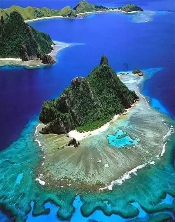 动物帮帮忙保卫家园